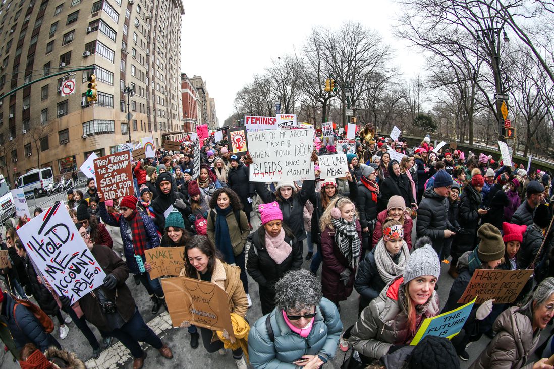 People participating in the NYC Women's March (William Volcov/Shutterstock)